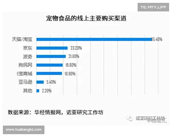 布克如何通过社交媒体策略提升品牌影响力与粉丝互动分析